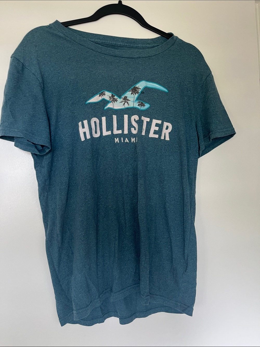 Hollister Teal Palm Graphic Crew Tee